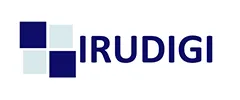 Irudigi